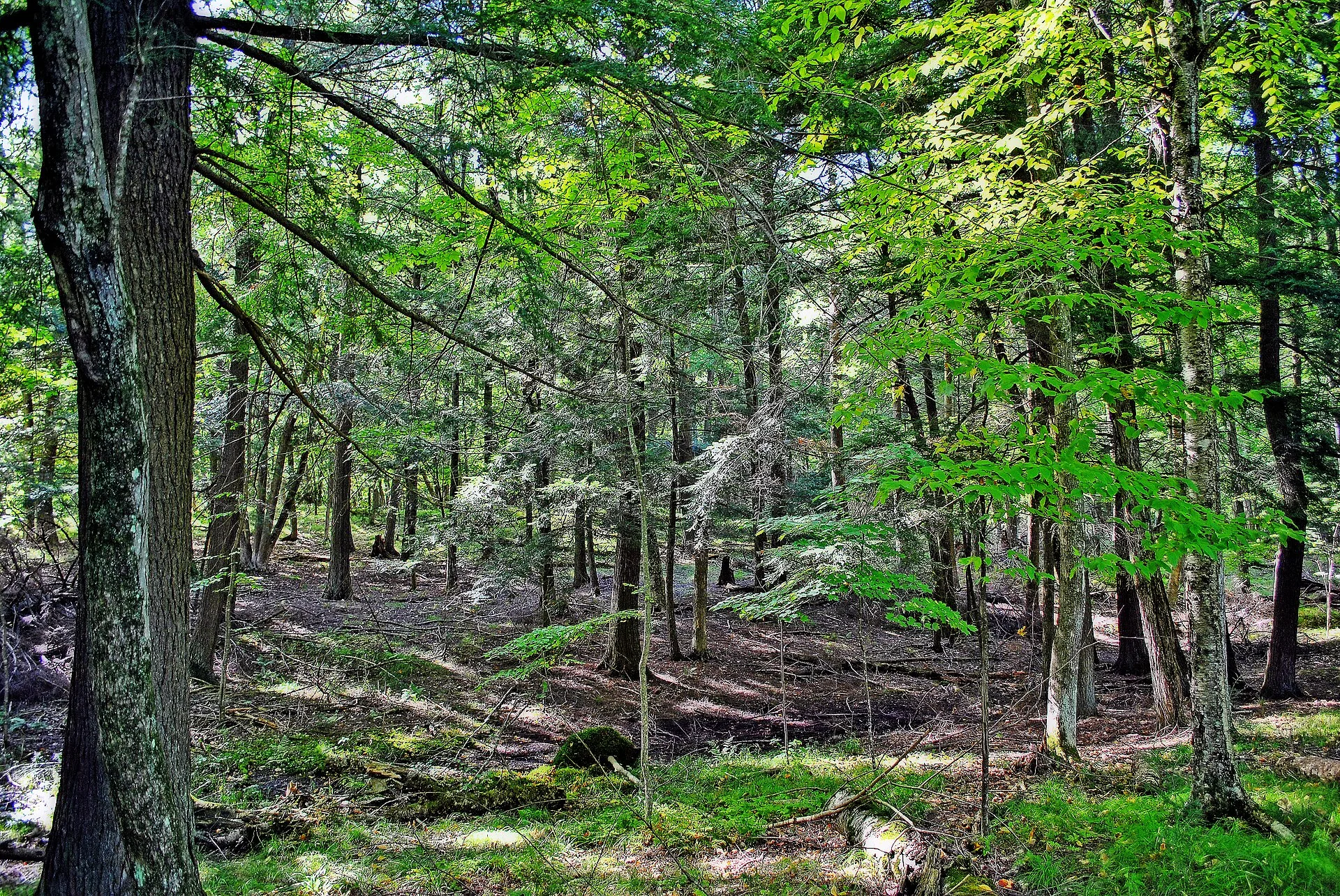 Brunet Island State Park