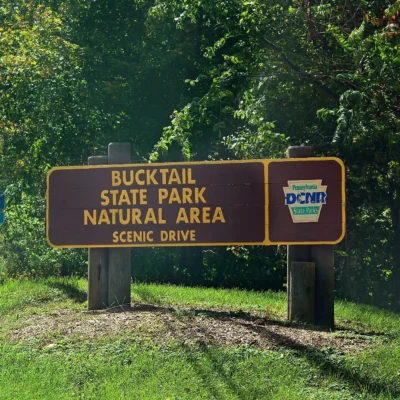 Bucktail State Park Natural Area