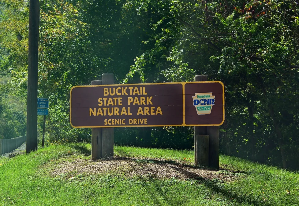 Bucktail State Park Natural Area (Pennsylvania)