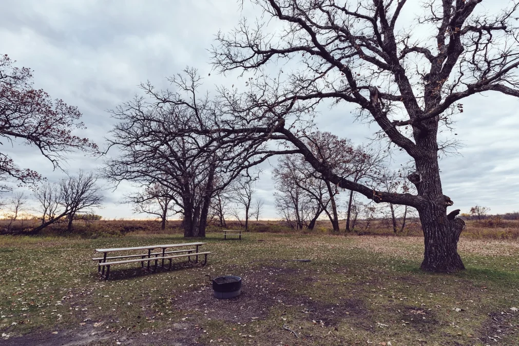 Buffalo River State Park (Minnesota)