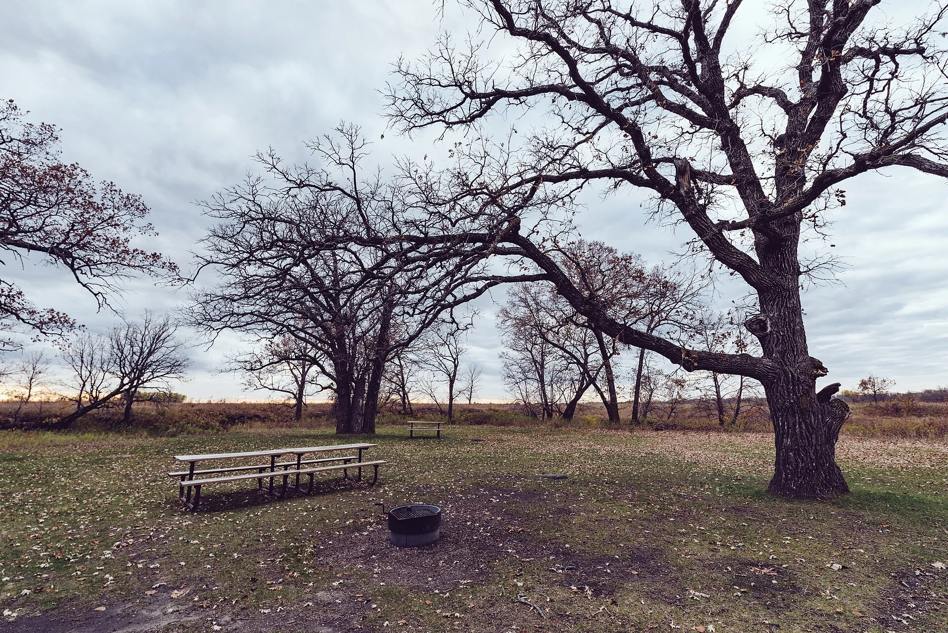 Buffalo River State Park