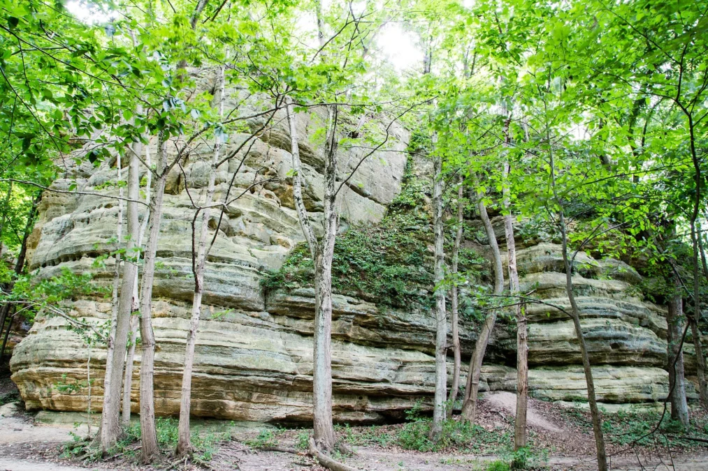 Buffalo Rock State Park (Illinois)