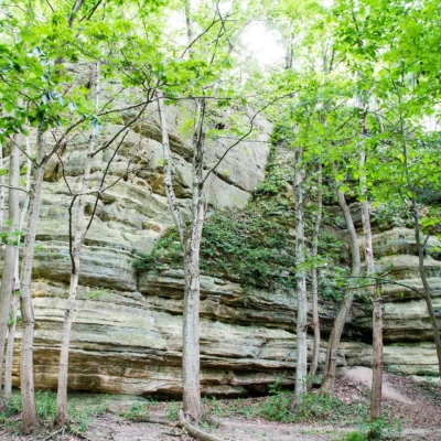 Buffalo Rock State Park