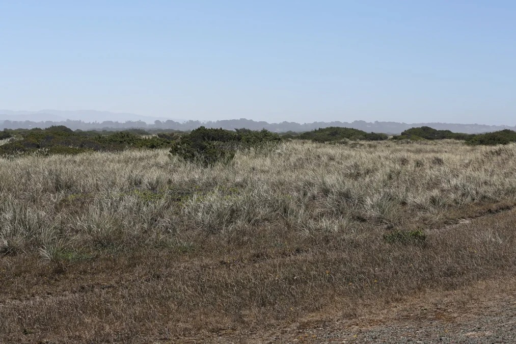 Bullard Beach State Park (Oregon)