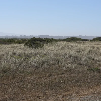 Bullard Beach State Park
