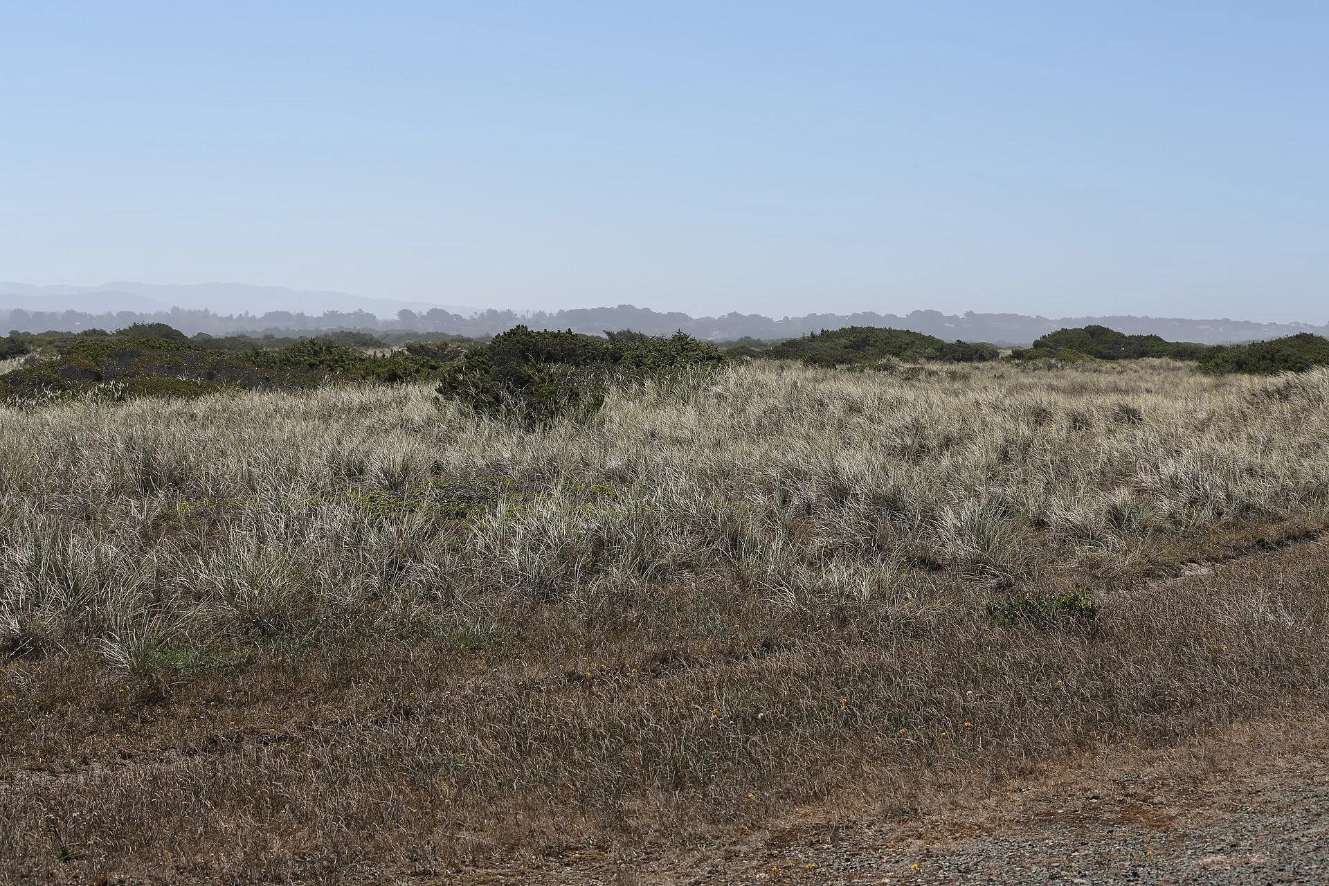 Bullards Beach State Park