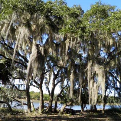 Burnside Island State Park