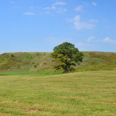 Cahokia Mounds State Historic Site