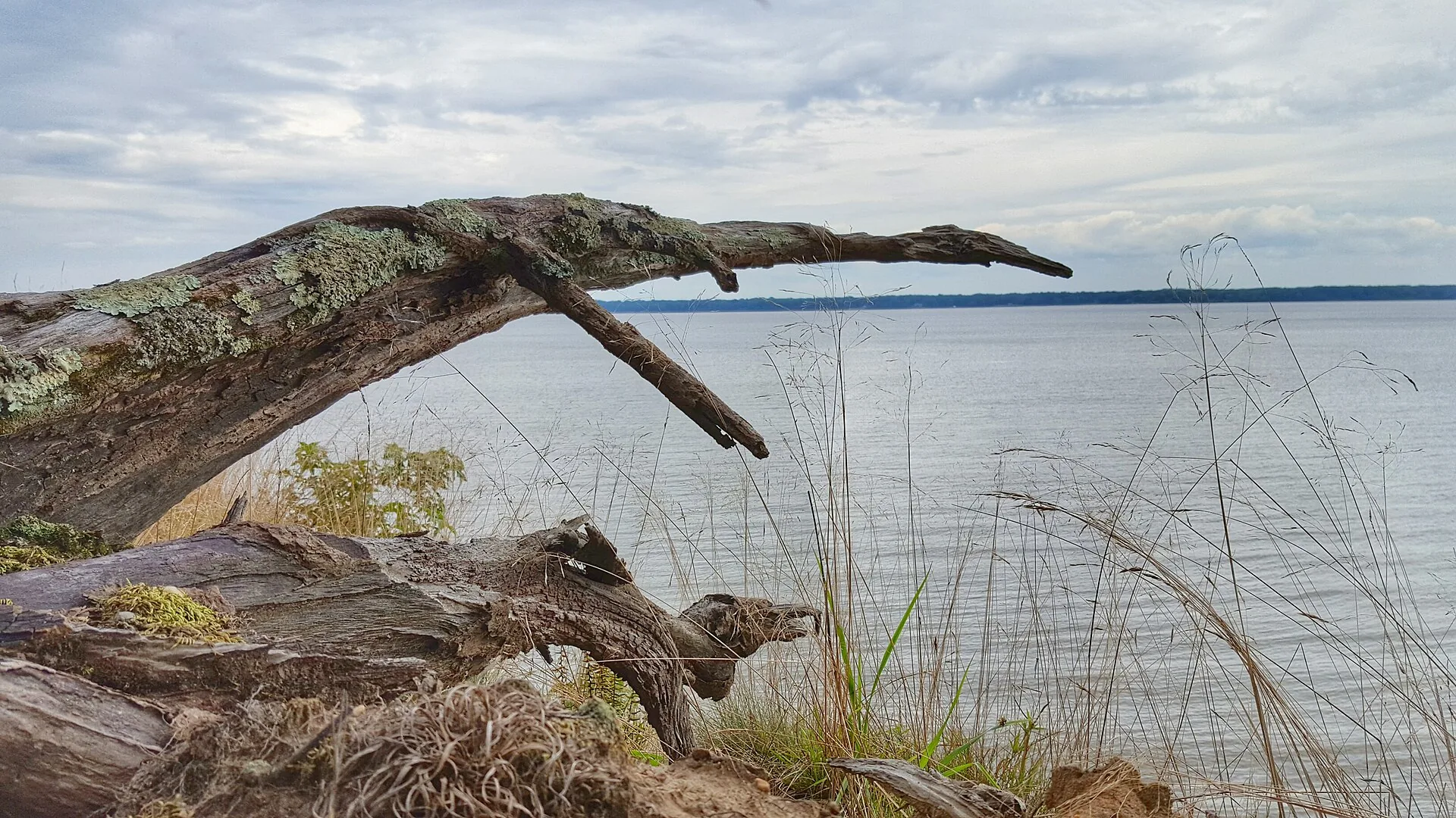 Caledon State Park