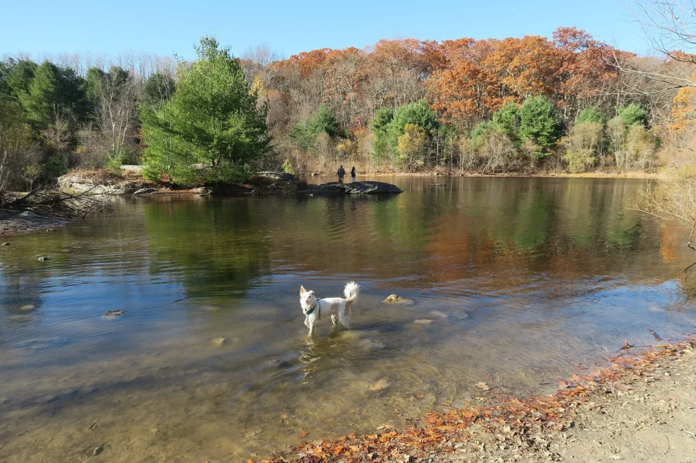 Callahan State Park (Massachusetts)