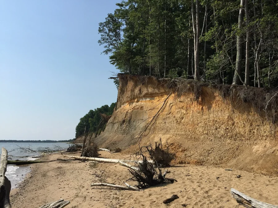 Calvert Cliffs State Park 3 Cliffs to the south of Grays Creek in Calvert Cliffs State Park, Calvert County, Maryland