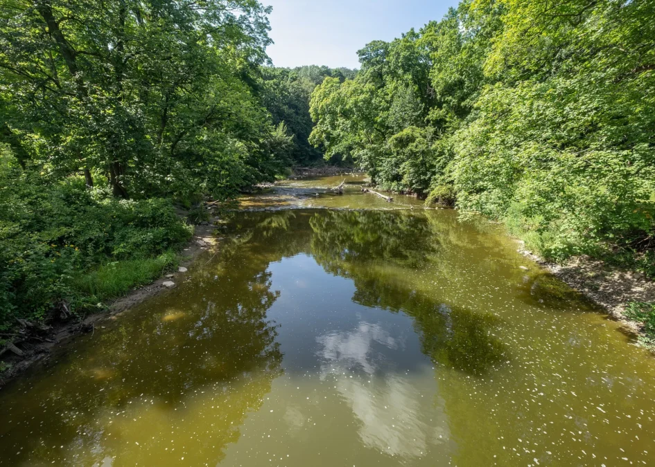 Redwood River flowing between leafy banks seen from a footbridge, Camden State Park, Minnesota