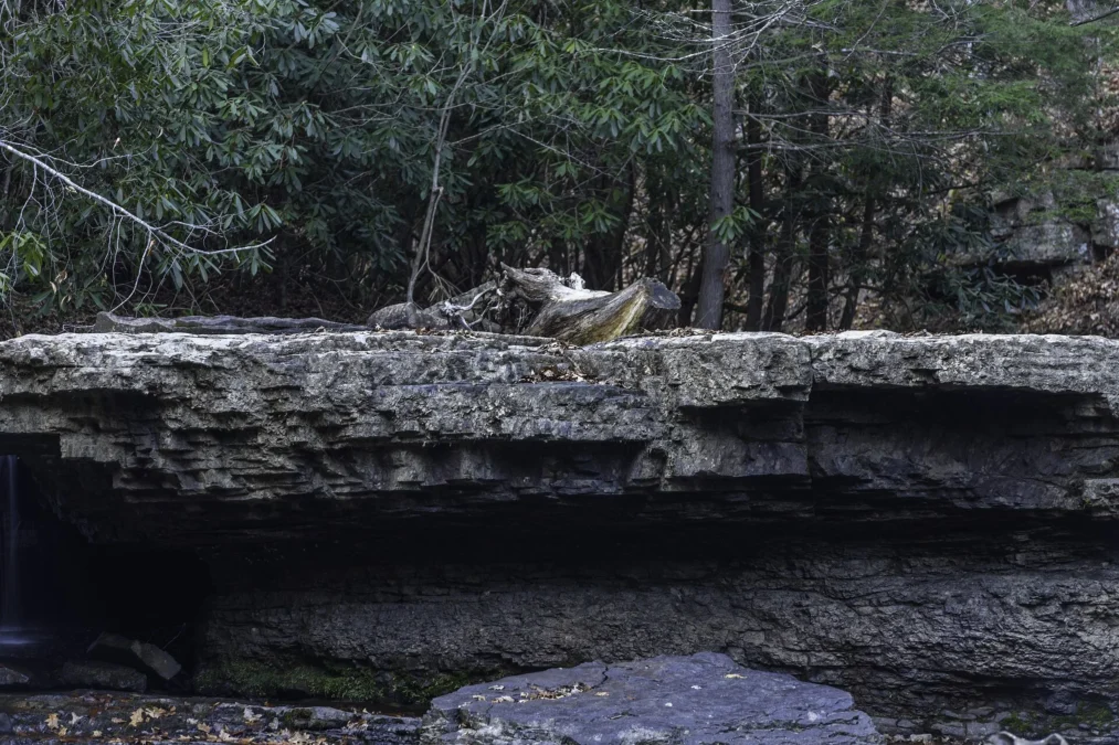 Camp Creek State Park (West Virginia)