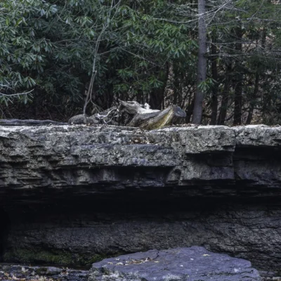 Camp Creek State Park