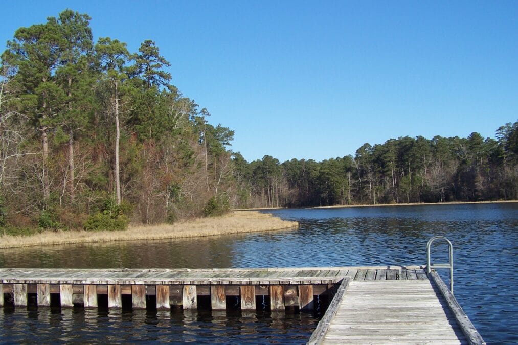 Wooden dock on Caney Lake at Jimmie Davis State Park (formerly Caney Creek Lake State Park), Louisiana