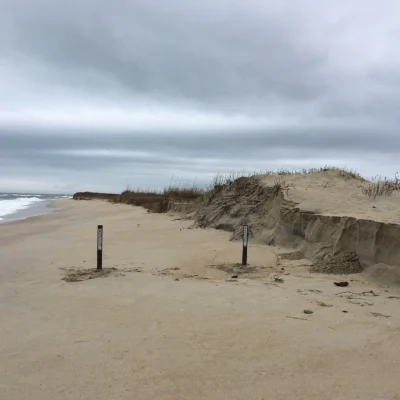 Cape Hatteras State Park