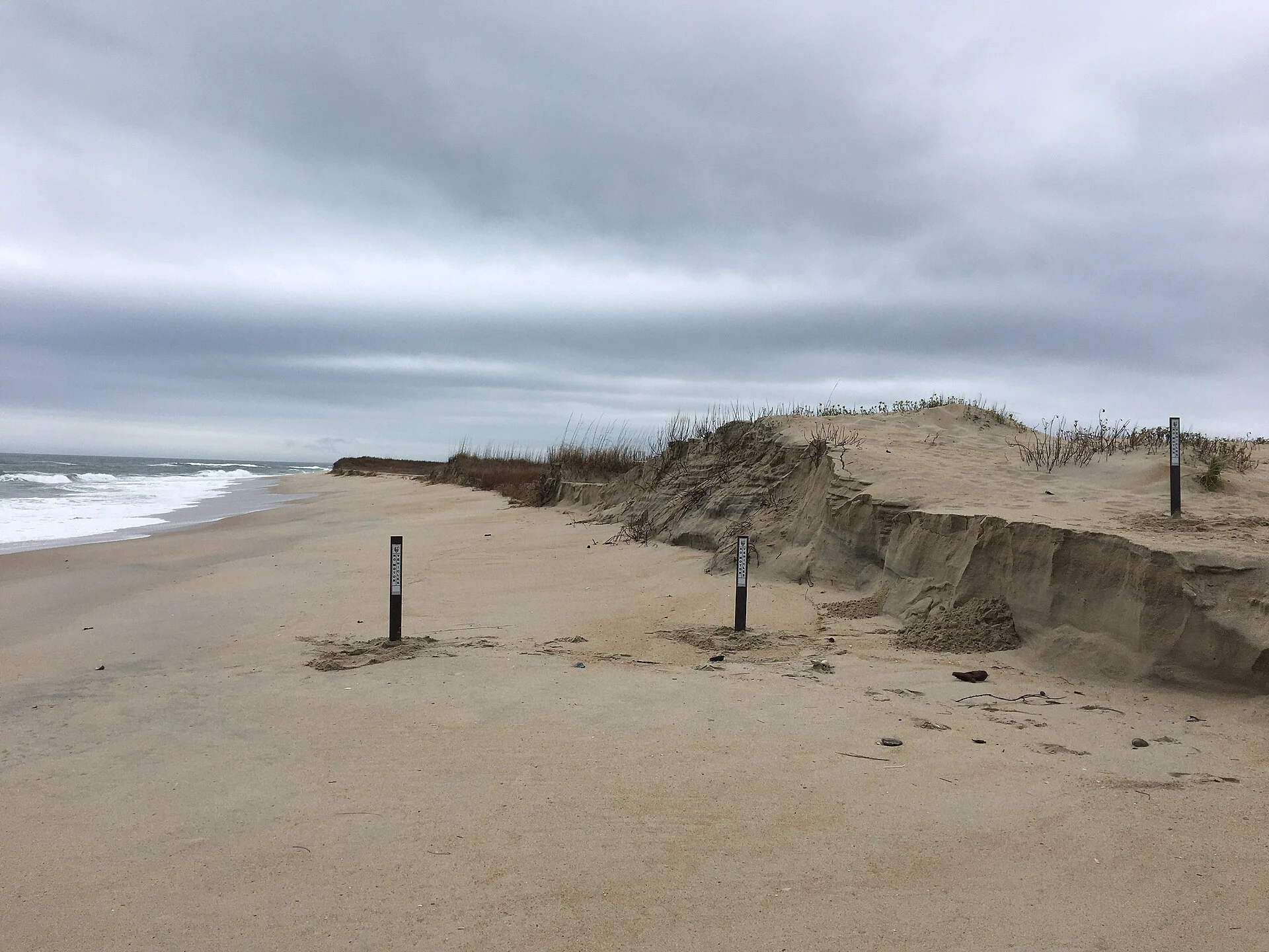 Cape Hatteras State Park