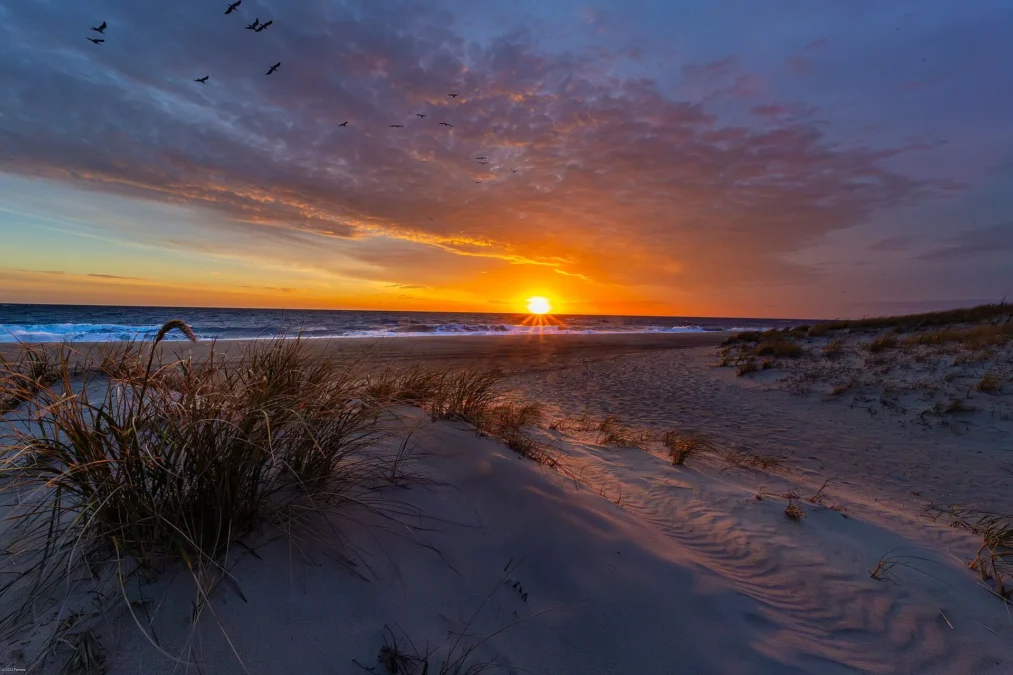 Cape Henlopen State Park 1 Sunrise over the Atlantic seen from the dunes at Cape Henlopen State Park, Delaware
