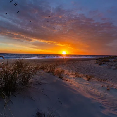 Cape Henlopen State Park