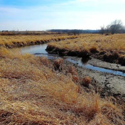 Capital Springs State Recreation Area
