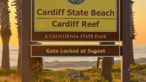 Cardiff State Beach