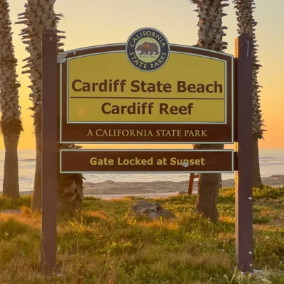 Cardiff State Beach