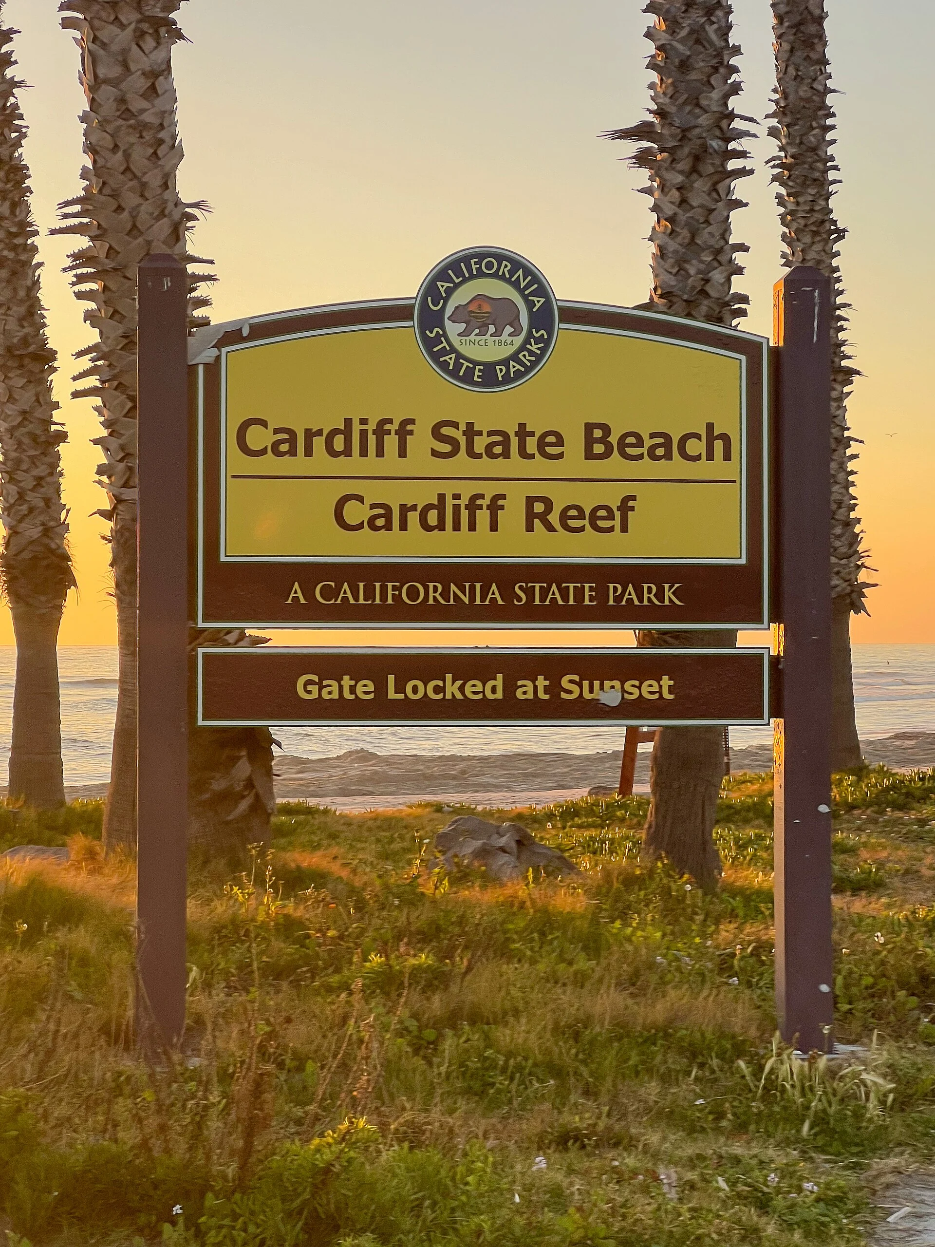 Cardiff State Beach