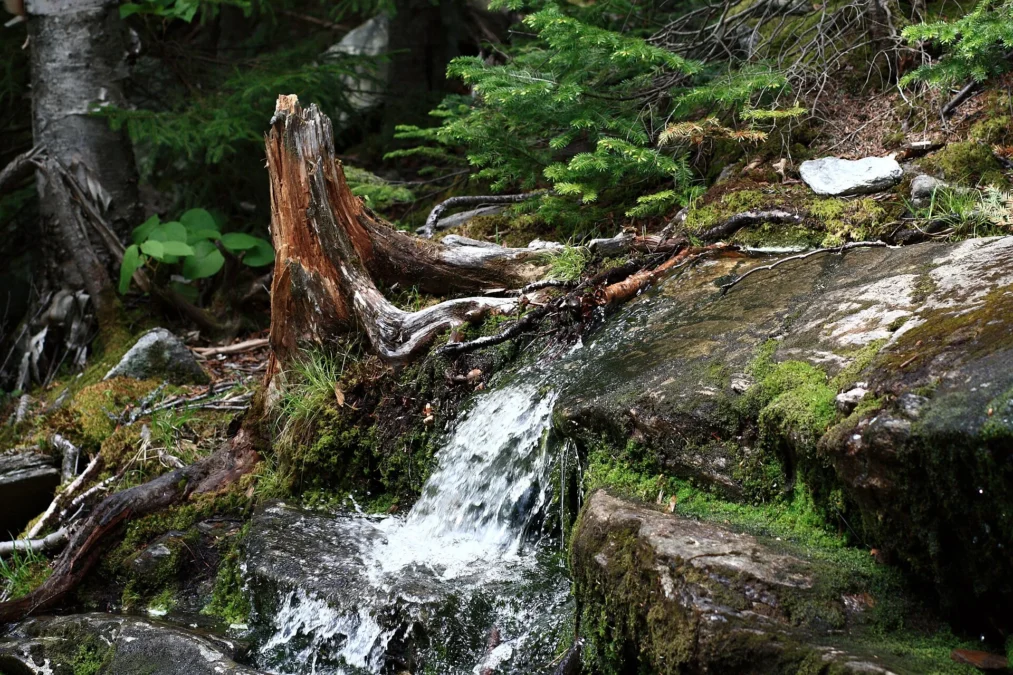 Cardigan Mountain State Park (New Hampshire)