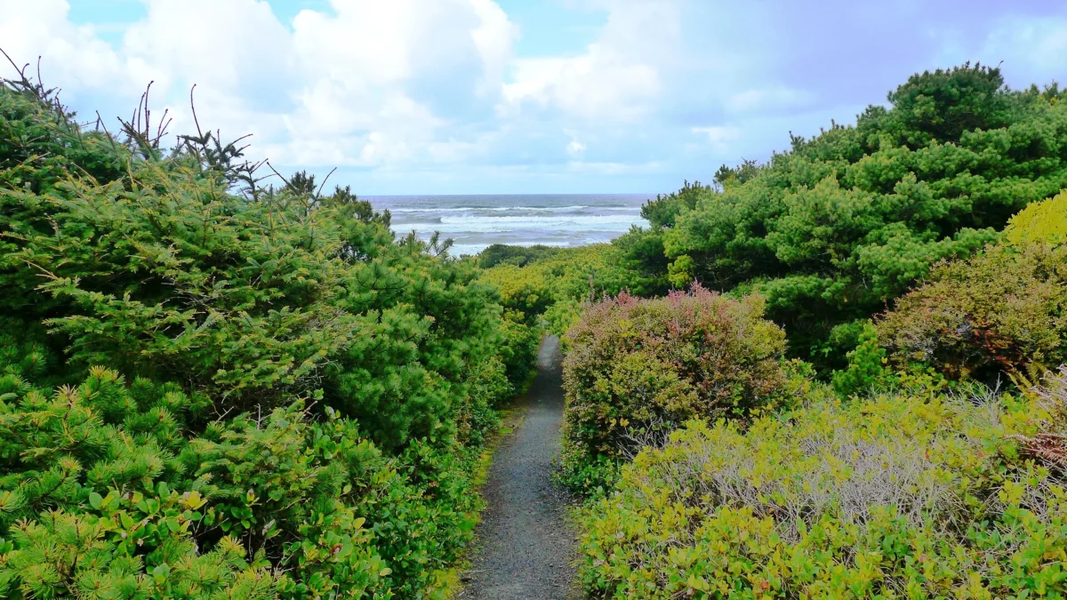 Carl G. Washburne Memorial State Park (Oregon)