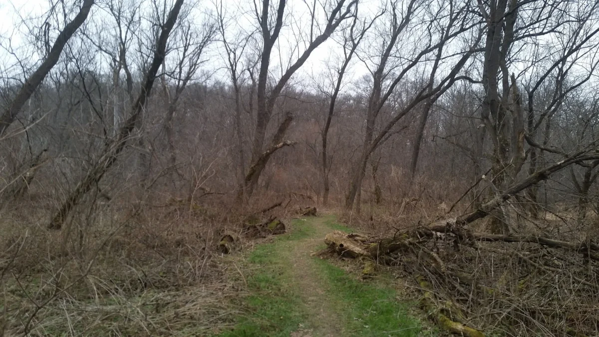 Hiking trail through the winter forest of Carley State Park, Minnesota