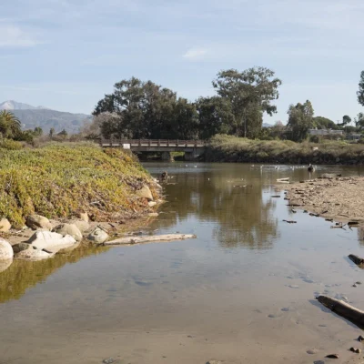 Carpinteria State Beach
