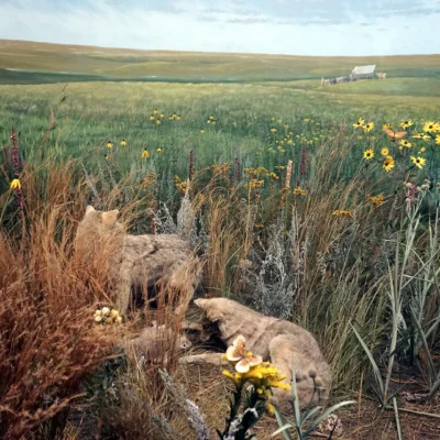 Cayler Prairie State Preserve