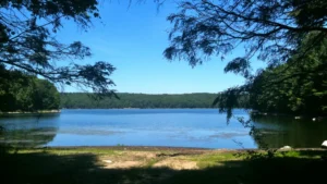 Centennial Watershed State Forest