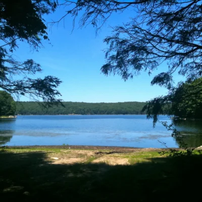 Centennial Watershed State Forest