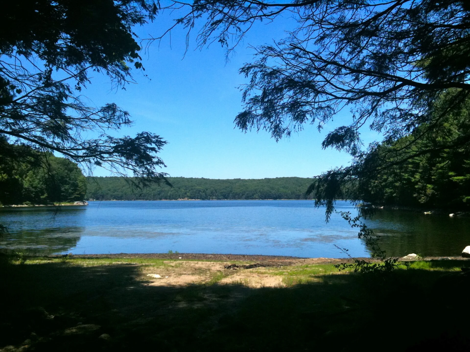 Centennial Watershed State Forest