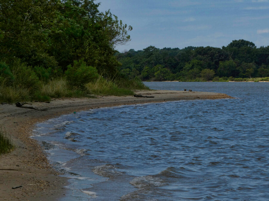 Sandy shoreline of the Port Tobacco River at Chapel Point State Park, Maryland