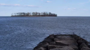 Charles E. Wheeler Wildlife Management Area