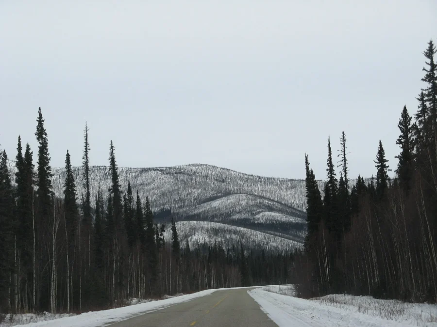 Chena River State Recreation Area (Alaska)