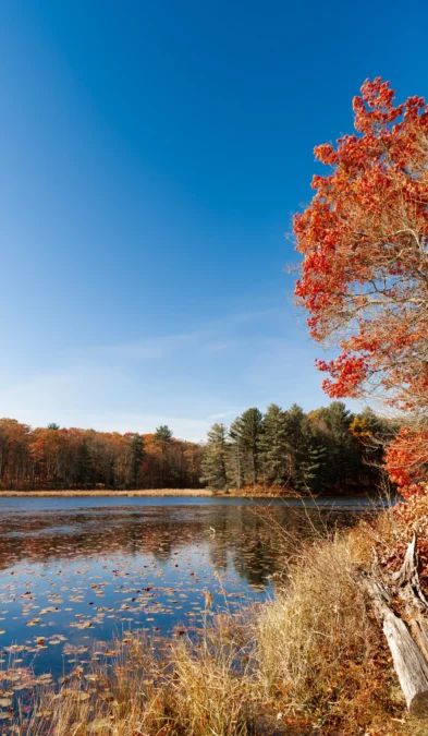 Chenango Valley State Park 4 Chenango Valley State Park (New York)