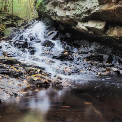Chesterfield Gorge Natural Area