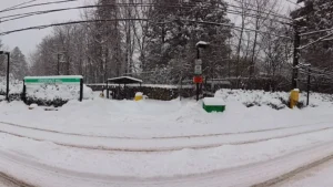 Chestnut Hill Reservation