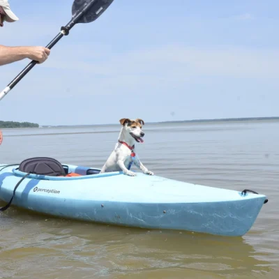 Chippokes State Park