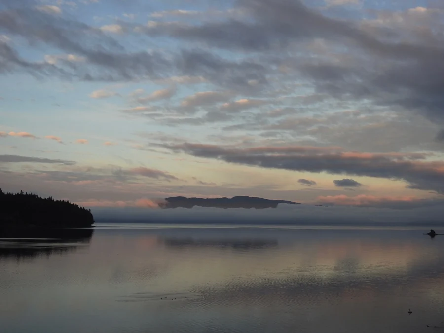 Chuckanut Bay Preserve 22 Chuckanut Bay Preserve (Washington)