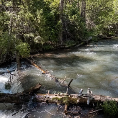 Cimarron Canyon State Park