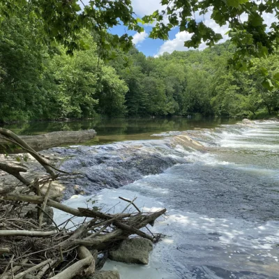 Clinch River State Park