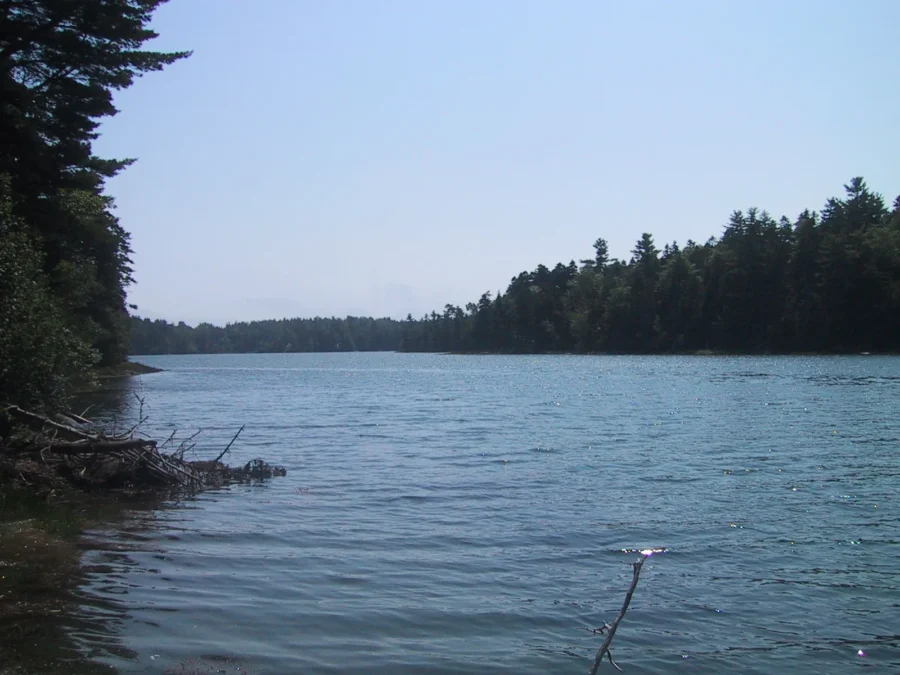 Cobscook Bay State Park 5 Broad Cove at high tide in Cobscook Bay State Park, Maine