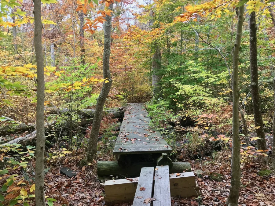 Cockaponset State Forest (Connecticut)