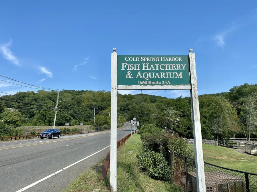 Cold Spring Harbor State Park (New York)
