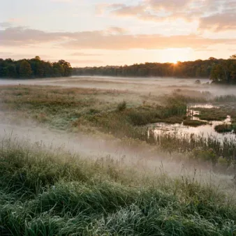 Coldwater Lake State Park