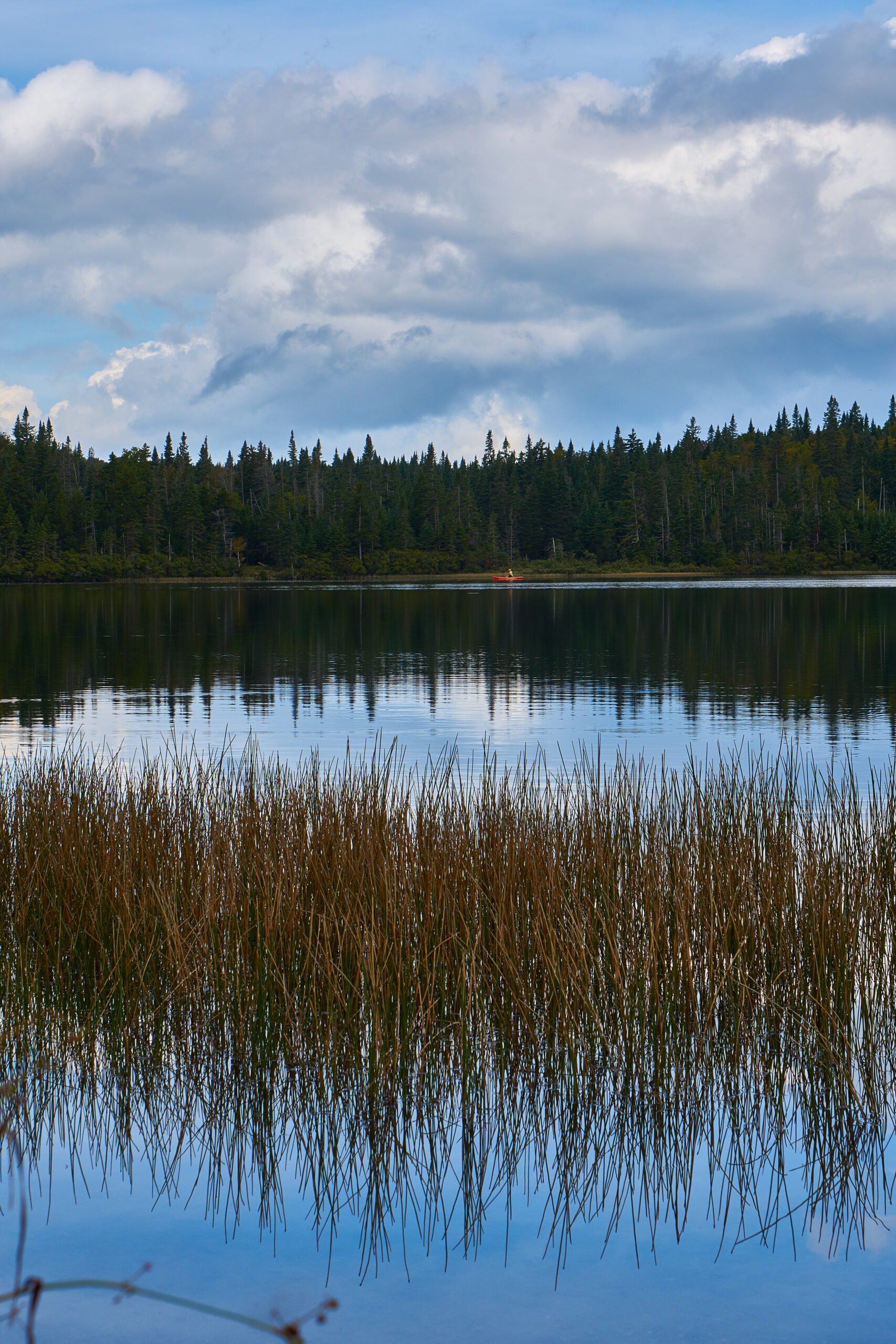 Coleman State Park